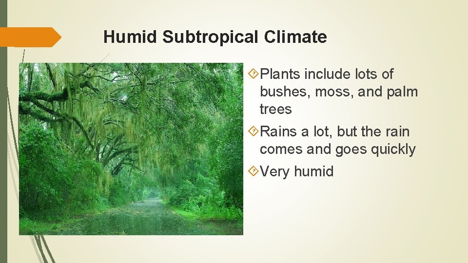 Humid Subtropical Climate Plants include lots of bushes, moss, and palm trees Rains a