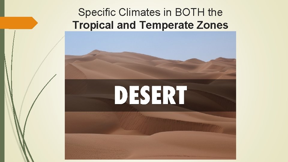 Specific Climates in BOTH the Tropical and Temperate Zones 