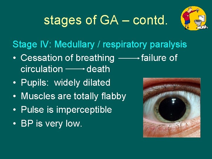 stages of GA – contd. Stage IV: Medullary / respiratory paralysis • Cessation of