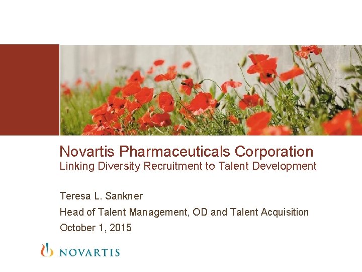 Novartis Pharmaceuticals Corporation Linking Diversity Recruitment to Talent Development Teresa L. Sankner Head of