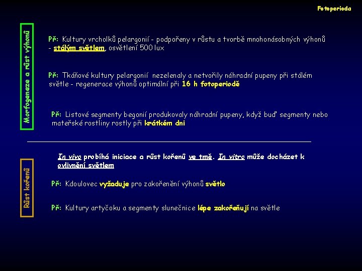 Růst kořenů Morfogeneze a růst výhonů Fotoperioda Př: Kultury vrcholků pelargonií - podpořeny v