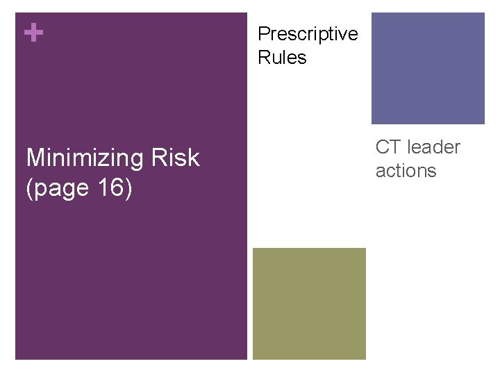 + Minimizing Risk (page 16) Prescriptive Rules CT leader actions 