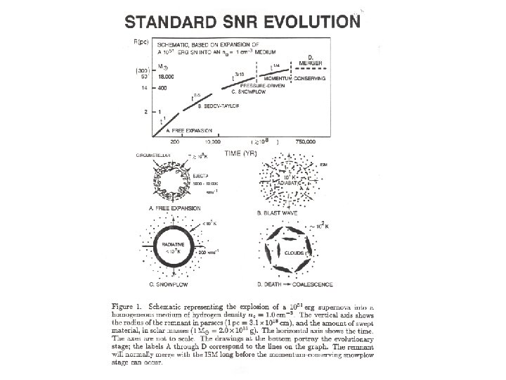 Overview of SNR evolution 