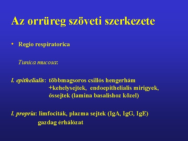 Az orrüreg szöveti szerkezete • Regio respiratorica Tunica mucosa: l. epithelialis: többmagsoros csillós hengerhám