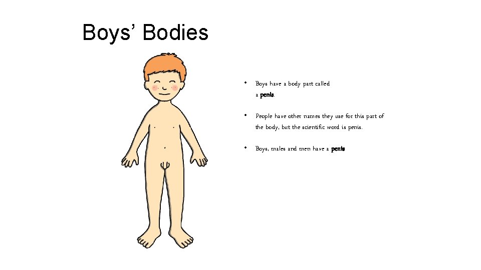 Boys’ Bodies • Boys have a body part called a penis. • People have