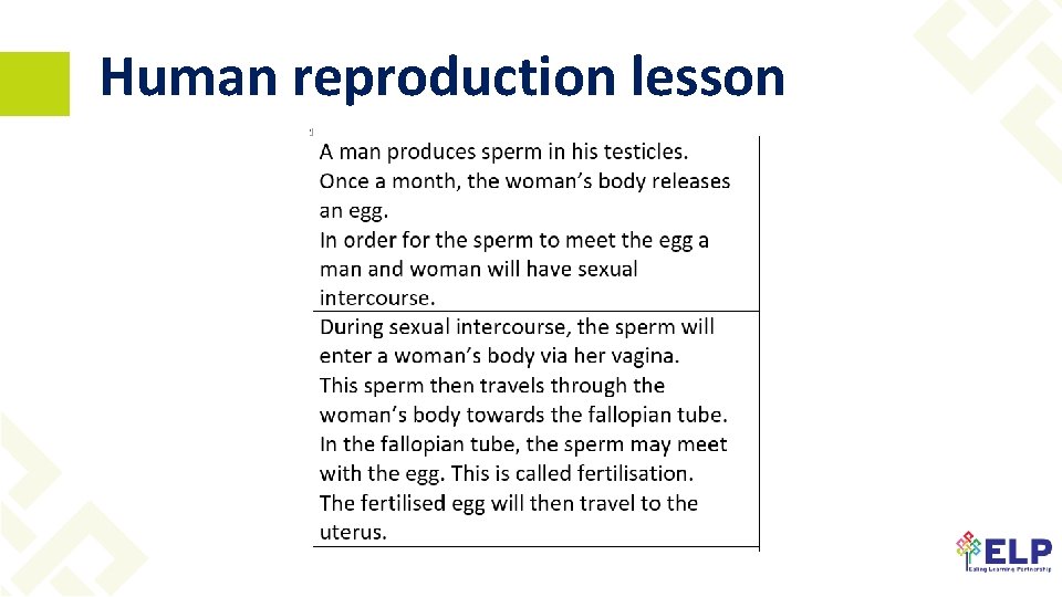 Human reproduction lesson 