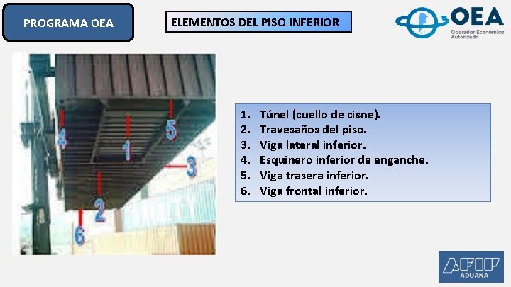 PROGRAMA OEA ELEMENTOS DEL PISO INFERIOR 1. 2. 3. 4. 5. 6. Túnel (cuello PROGRAMA OEA ELEMENTOS DEL PISO INFERIOR 1. 2. 3. 4. 5. 6. Túnel (cuello