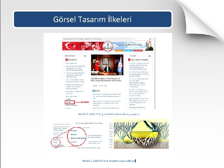 Görsel Tasarım İlkeleri 