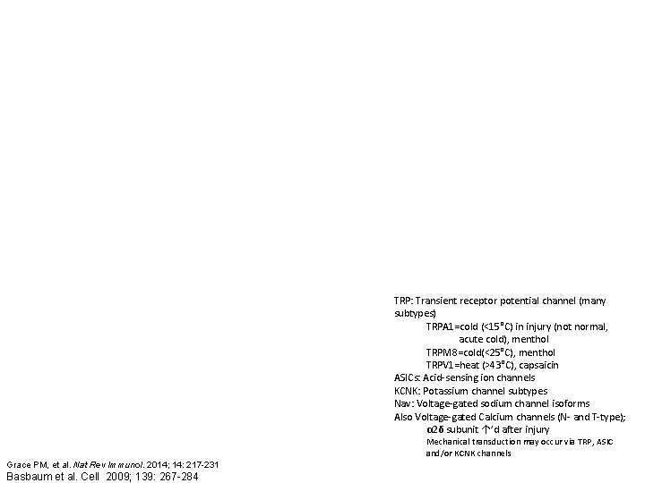 TRP: Transient receptor potential channel (many subtypes) TRPA 1=cold (<15°C) in injury (not normal,