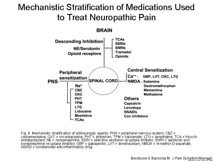Mechanistic Stratification of Medications Used to Treat Neuropathic Pain Fig. 4. Mechanistic stratification of