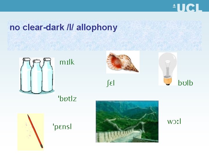 no clear-dark /l/ allophony mɪlk ʃɛl bʊlb ˈbɒtlz ˈpɛnsl wɔːl 
