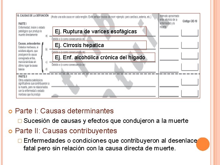 Ej. Ruptura de varices esofágicas Ej. Cirrosis hepatica Ej. Enf. alcohólica crónica del hígado