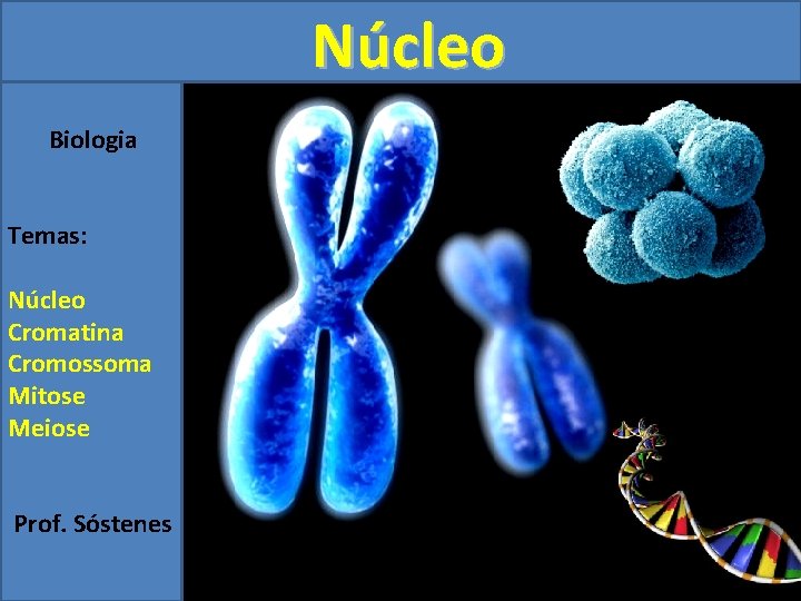 Núcleo Biologia Temas: Núcleo Cromatina Cromossoma Mitose Meiose Prof. Sóstenes 