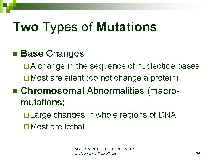 Two Types of Mutations n Base Changes ¨A change in the sequence of nucleotide