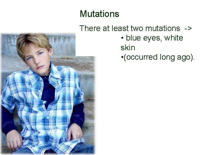 Mutations There at least two mutations -> • blue eyes, white skin • (occurred Mutations There at least two mutations -> • blue eyes, white skin • (occurred