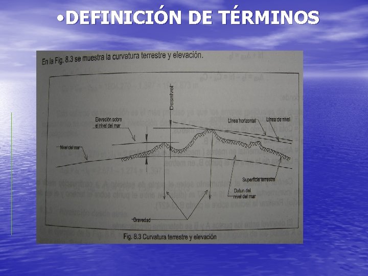 • DEFINICIÓN DE TÉRMINOS • DEFINICIÓN DE TÉRMINOS