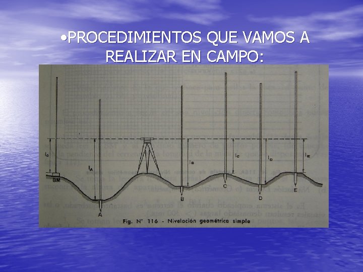 • PROCEDIMIENTOS QUE VAMOS A REALIZAR EN CAMPO: • PROCEDIMIENTOS QUE VAMOS A REALIZAR EN CAMPO: