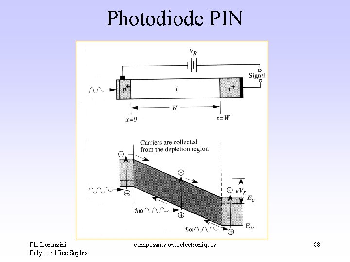 Photodiode PIN Ph. Lorenzini Polytech'Nice Sophia composants optoélectroniques 88 Photodiode PIN Ph. Lorenzini Polytech'Nice Sophia composants optoélectroniques 88