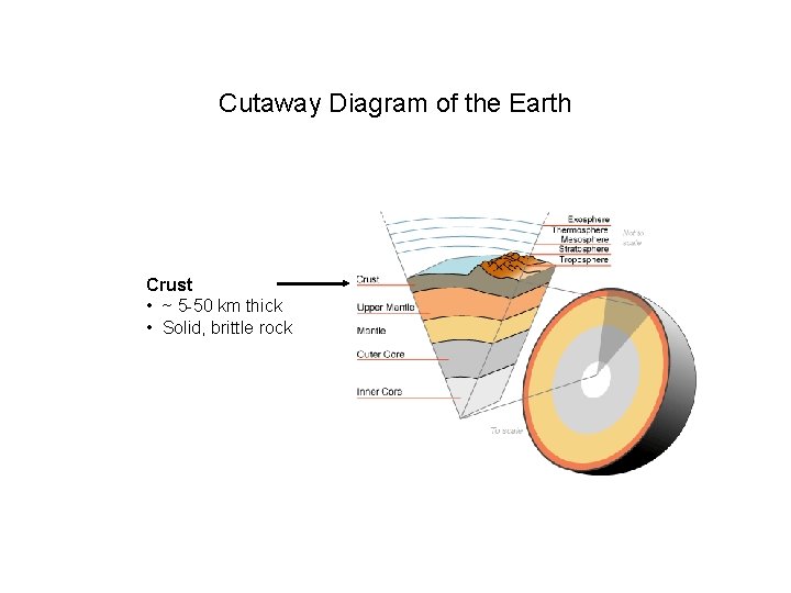 Cutaway Diagram of the Earth Crust • ~ 5 -50 km thick • Solid,