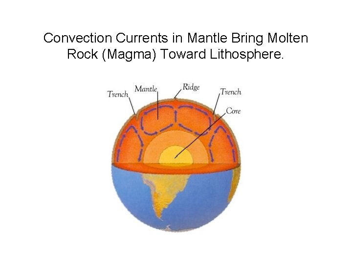 Convection Currents in Mantle Bring Molten Rock (Magma) Toward Lithosphere. 