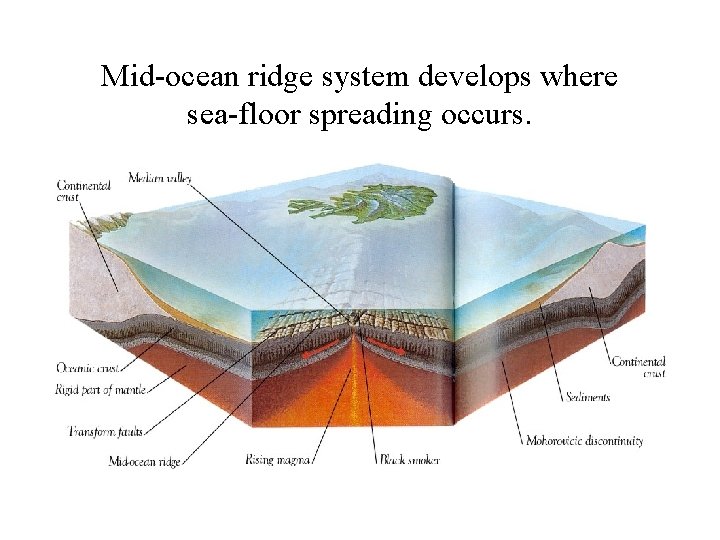 Mid-ocean ridge system develops where sea-floor spreading occurs. 