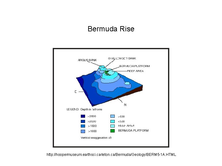 Bermuda Rise http: //hoopermuseum. earthsci. carleton. ca/Bermuda/Geology/BERM 5 -1 A. HTML 