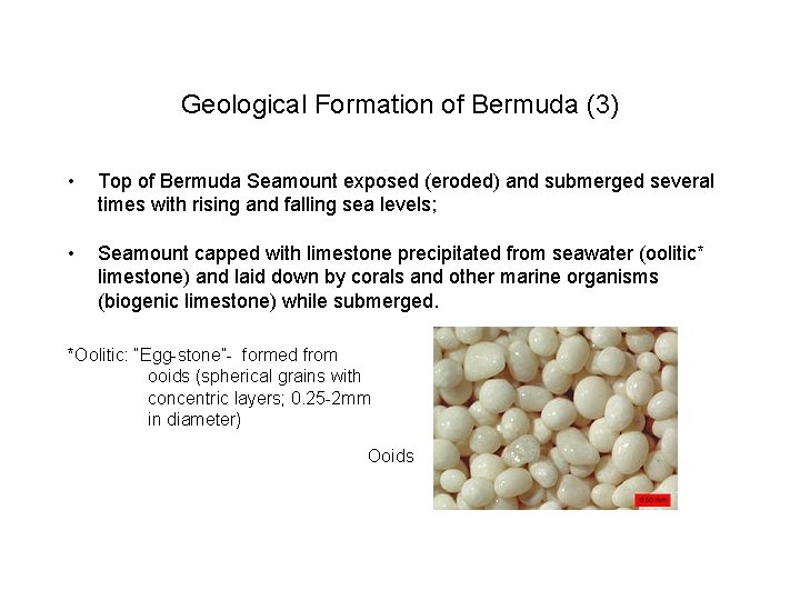 Geological Formation of Bermuda (3) • Top of Bermuda Seamount exposed (eroded) and submerged