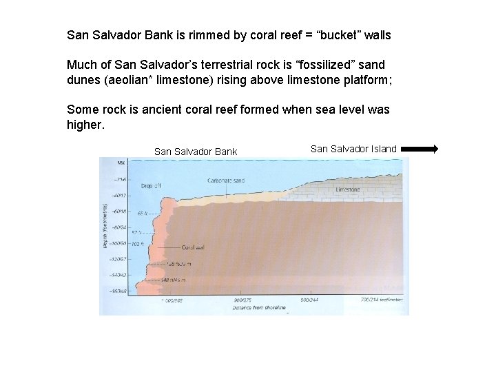 San Salvador Bank is rimmed by coral reef = “bucket” walls Much of San