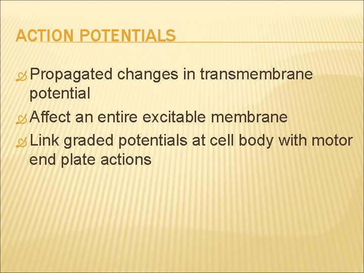 ACTION POTENTIALS Propagated changes in transmembrane potential Affect an entire excitable membrane Link graded