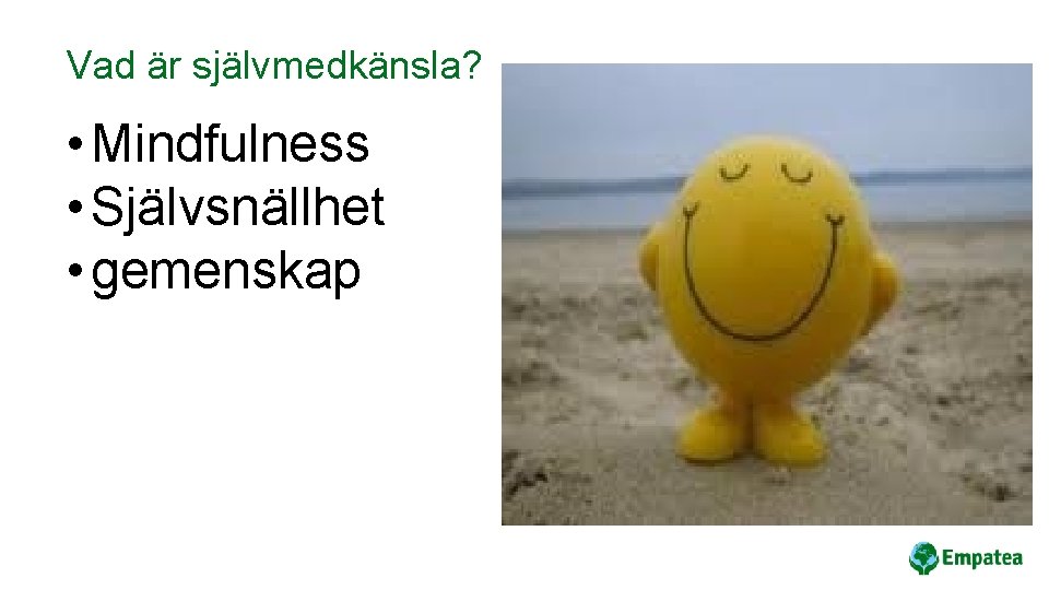 Vad är självmedkänsla? • Mindfulness • Självsnällhet • gemenskap 