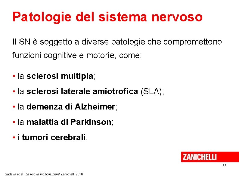 Patologie del sistema nervoso Il SN è soggetto a diverse patologie che compromettono funzioni