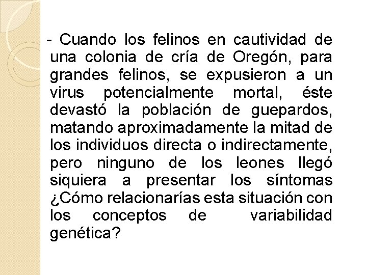 - Cuando los felinos en cautividad de una colonia de cría de Oregón, para