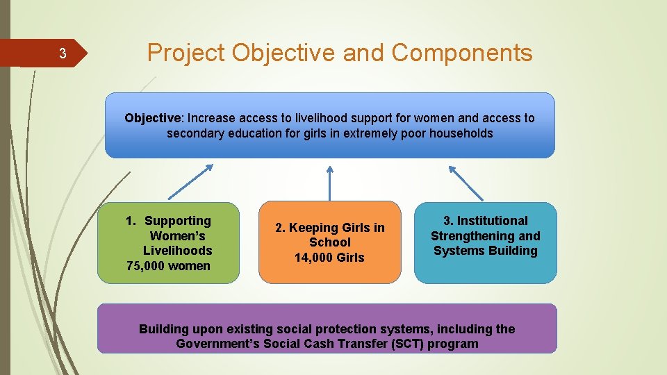 3 Project Objective and Components Objective: Increase access to livelihood support for women and