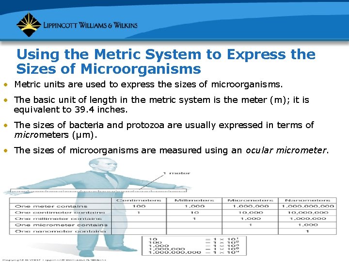 Using the Metric System to Express the Sizes of Microorganisms • Metric units are