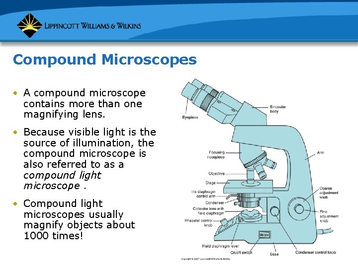 Compound Microscopes • A compound microscope contains more than one magnifying lens. • Because