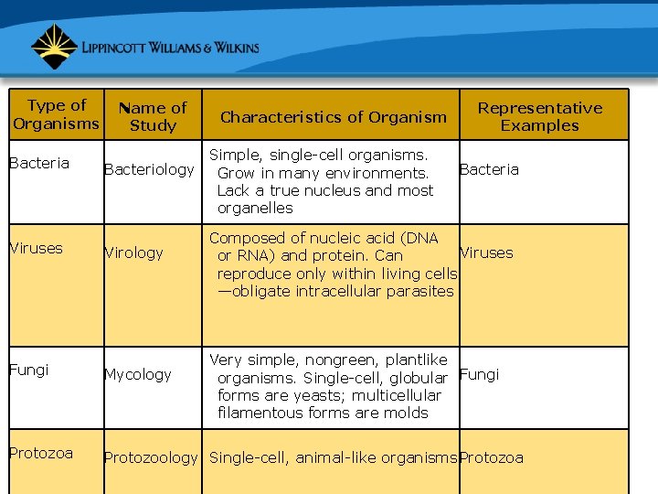 Type of Organisms Name of Study Characteristics of Organism Microorganisms Bacteria Viruses Simple, single-cell