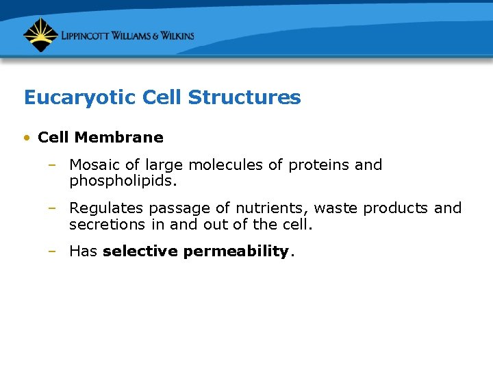 Eucaryotic Cell Structures • Cell Membrane – Mosaic of large molecules of proteins and