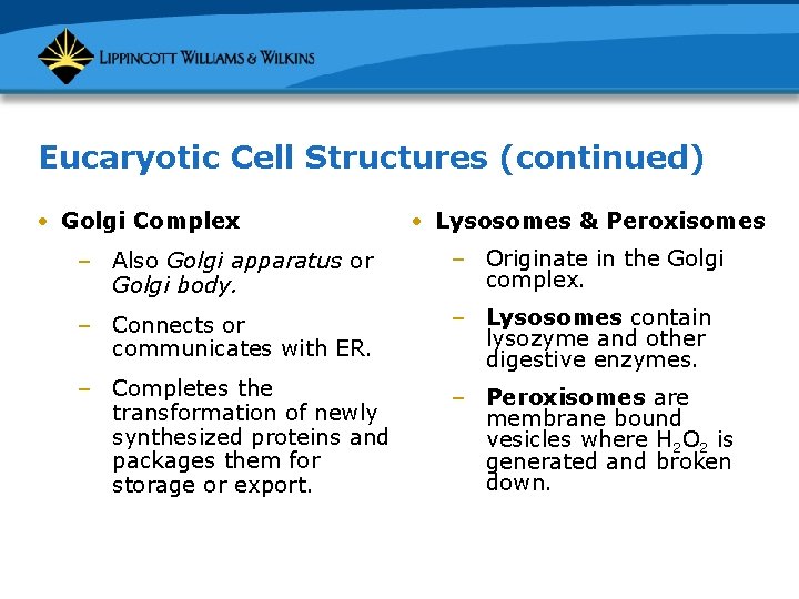 Eucaryotic Cell Structures (continued) • Golgi Complex • Lysosomes & Peroxisomes – Also Golgi