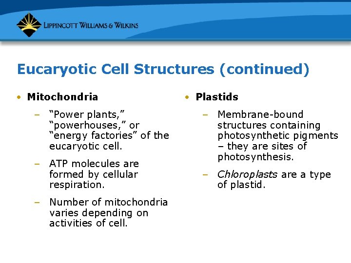 Eucaryotic Cell Structures (continued) • Mitochondria – “Power plants, ” “powerhouses, ” or “energy