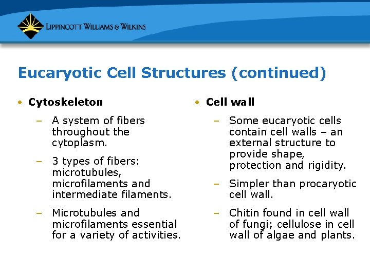 Eucaryotic Cell Structures (continued) • Cytoskeleton – A system of fibers throughout the cytoplasm.