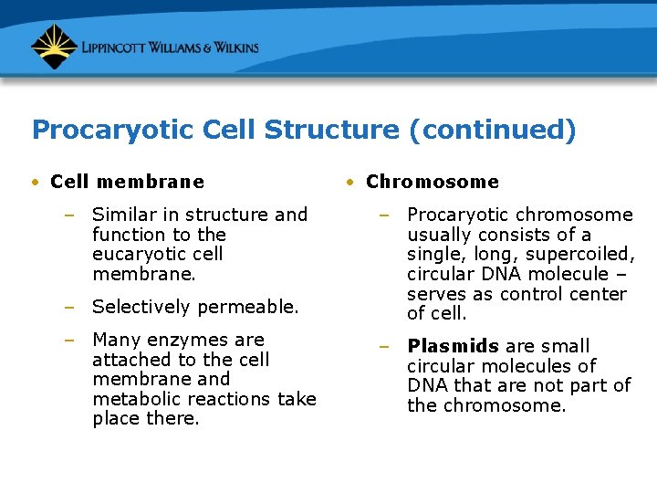 Procaryotic Cell Structure (continued) • Cell membrane – Similar in structure and function to