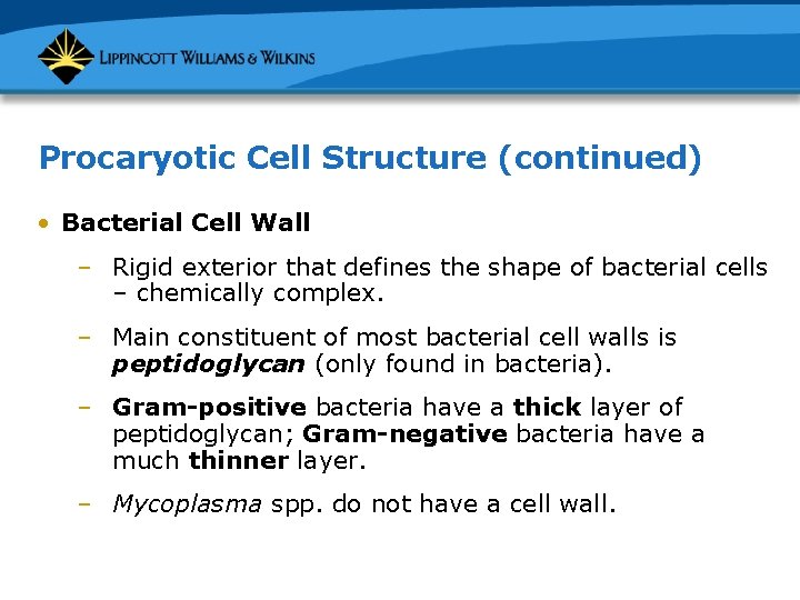 Procaryotic Cell Structure (continued) • Bacterial Cell Wall – Rigid exterior that defines the