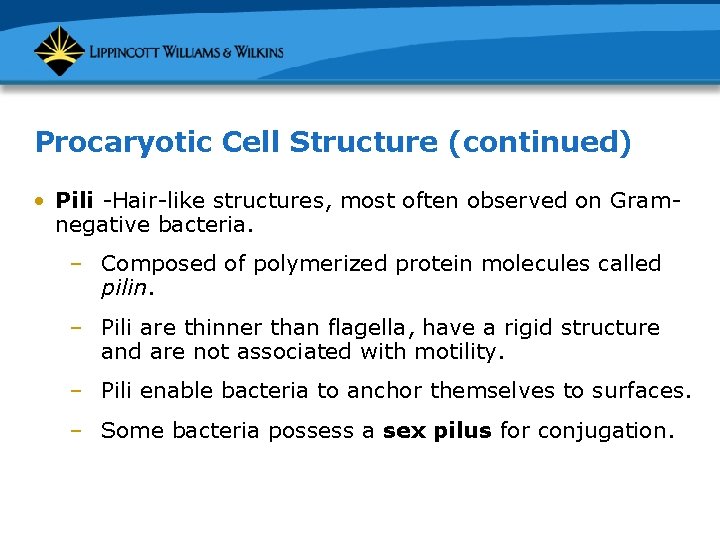 Procaryotic Cell Structure (continued) • Pili -Hair-like structures, most often observed on Gramnegative bacteria.