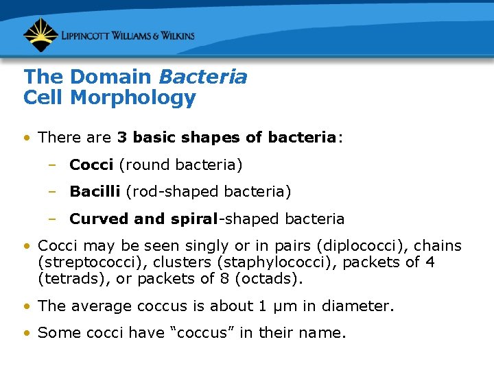 The Domain Bacteria Cell Morphology • There are 3 basic shapes of bacteria: –