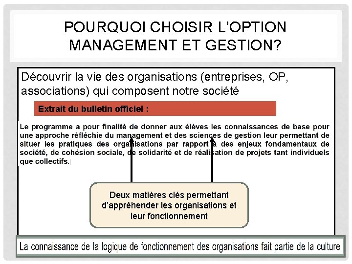 POURQUOI CHOISIR L’OPTION MANAGEMENT ET GESTION? Découvrir la vie des organisations (entreprises, OP, associations)