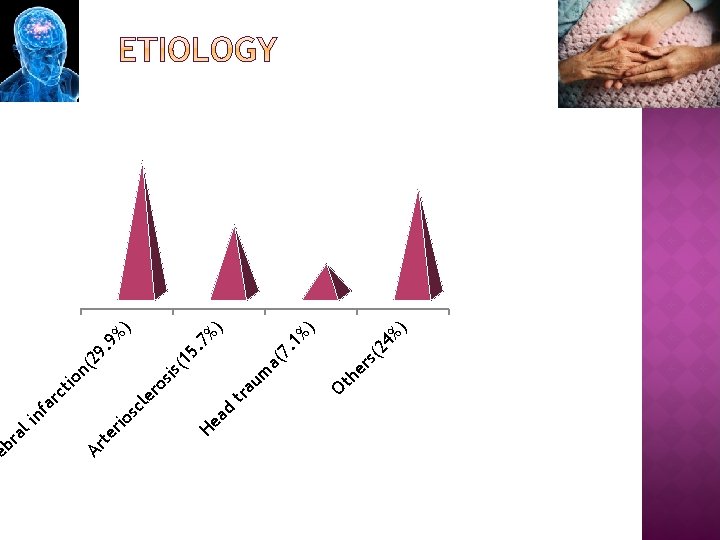 He a d ) 24 % s( he r Ot 1% ) 7. m