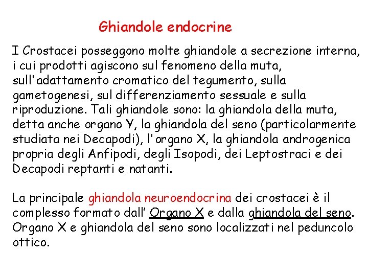 Ghiandole endocrine I Crostacei posseggono molte ghiandole a secrezione interna, i cui prodotti agiscono