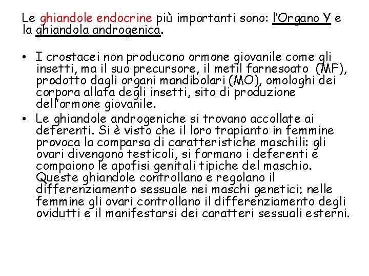 Le ghiandole endocrine più importanti sono: l’Organo Y e la ghiandola androgenica. • I