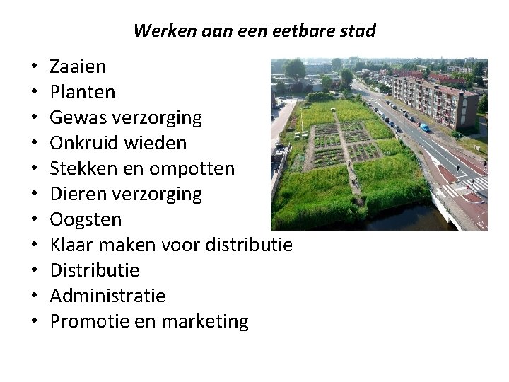 Werken aan eetbare stad • • • Zaaien Planten Gewas verzorging Onkruid wieden Stekken