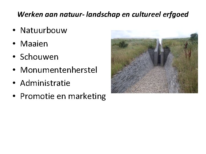 Werken aan natuur- landschap en cultureel erfgoed • • • Natuurbouw Maaien Schouwen Monumentenherstel